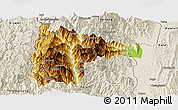 Physical Panoramic Map of Tiddim, shaded relief outside