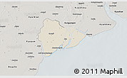 Shaded Relief 3D Map of Dedaye, semi-desaturated