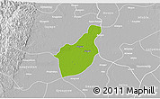 Physical 3D Map of Henzada, lighten, desaturated