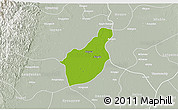 Physical 3D Map of Henzada, lighten, semi-desaturated