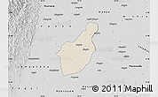 Shaded Relief Map of Henzada, desaturated