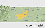 Savanna Style Panoramic Map of Henzada