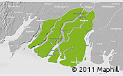 Physical 3D Map of Labutta, lighten, desaturated