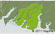 Physical 3D Map of Labutta, semi-desaturated