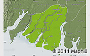 Physical Map of Labutta, semi-desaturated