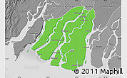 Political Map of Labutta, desaturated