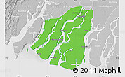 Political Map of Labutta, lighten, desaturated