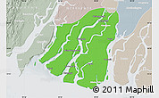 Political Map of Labutta, lighten, semi-desaturated