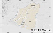 Shaded Relief Map of Labutta, lighten, desaturated