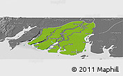 Physical Panoramic Map of Labutta, desaturated