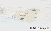 Shaded Relief Panoramic Map of Labutta, lighten