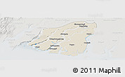 Shaded Relief Panoramic Map of Labutta, lighten, semi-desaturated