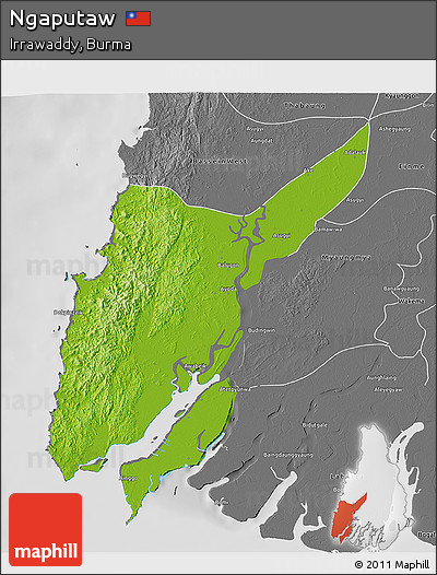 Physical 3D Map of Ngaputaw, desaturated