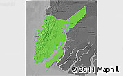 Political 3D Map of Ngaputaw, darken, desaturated