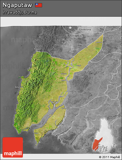 Satellite 3D Map of Ngaputaw, desaturated