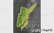 Satellite Map of Ngaputaw, darken, desaturated