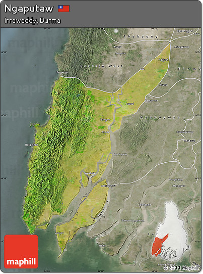 Satellite Map of Ngaputaw, semi-desaturated