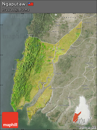 Satellite Map of Ngaputaw, semi-desaturated