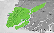 Political Panoramic Map of Ngaputaw, desaturated