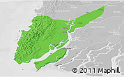 Political Panoramic Map of Ngaputaw, lighten, desaturated