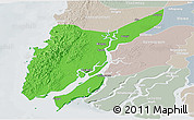 Political Panoramic Map of Ngaputaw, lighten, semi-desaturated