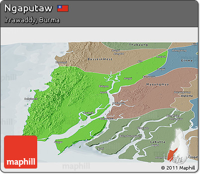 Political Panoramic Map of Ngaputaw, semi-desaturated