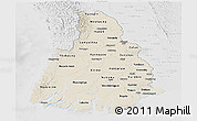 Shaded Relief Panoramic Map of Irrawaddy, lighten, desaturated