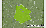 Physical Map of Pantanaw, semi-desaturated