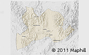 Shaded Relief 3D Map of Kamaing, lighten, desaturated
