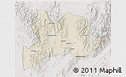 Shaded Relief 3D Map of Kamaing, lighten, semi-desaturated
