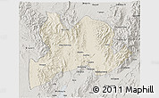 Shaded Relief 3D Map of Kamaing, semi-desaturated