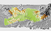 Physical Panoramic Map of Kamaing, desaturated