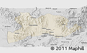 Shaded Relief Panoramic Map of Kamaing, desaturated
