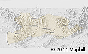Shaded Relief Panoramic Map of Kamaing, lighten, desaturated