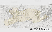 Shaded Relief Panoramic Map of Kamaing, lighten, semi-desaturated
