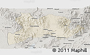 Shaded Relief Panoramic Map of Kamaing, semi-desaturated