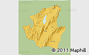 Savanna Style 3D Map of Mohnyin, single color outside