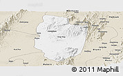 Classic Style Panoramic Map of Shwegu