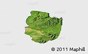 Satellite Panoramic Map of Shwegu, single color outside
