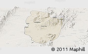 Shaded Relief Panoramic Map of Shwegu, lighten