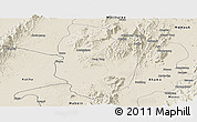 Shaded Relief Panoramic Map of Shwegu