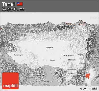 Gray Panoramic Map of Tanai