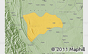 Savanna Style Map of Pwinbyu
