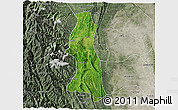 Satellite 3D Map of Saw, semi-desaturated