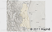 Shaded Relief 3D Map of Saw, semi-desaturated