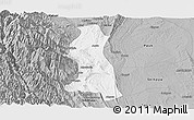 Gray Panoramic Map of Saw