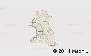 Shaded Relief Panoramic Map of Saw, cropped outside