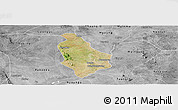 Satellite Panoramic Map of Yesagyo, desaturated