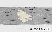 Shaded Relief Panoramic Map of Yesagyo, darken, desaturated