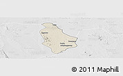 Shaded Relief Panoramic Map of Yesagyo, lighten, desaturated